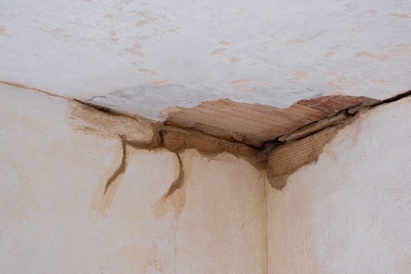 Ceiling Plaster Repair