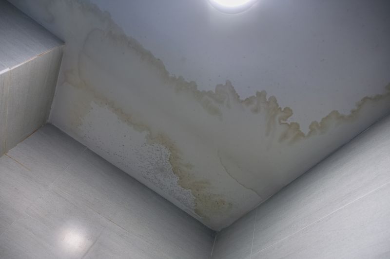 Ceiling Texture Repair