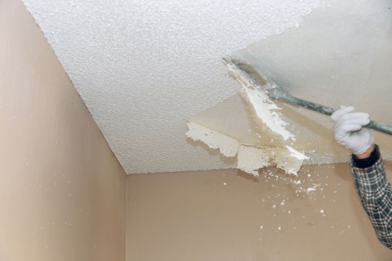 Textured Ceiling Removal detail