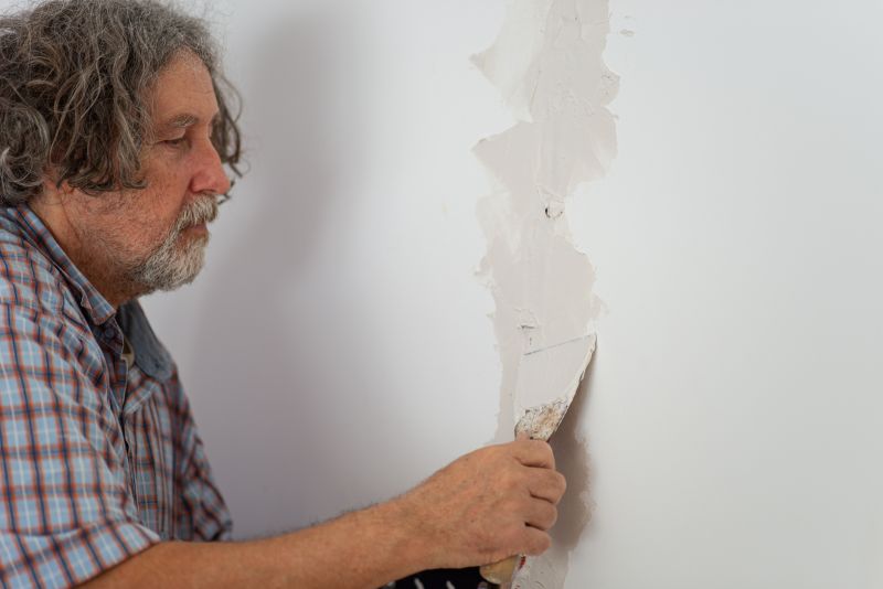 Plaster Wall Repair
